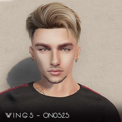 Second Life Marketplace WINGSHAIRTZ0525 Gray (Pack)